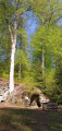 Luxembourg-ville - Junglinster Luxembourg-ville - Junglinster