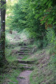 Le tour de Lutzelbourg par Roche Plate