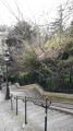 Promenade à Montmartre