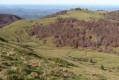 Crête de Cournudère oder Cornudère oder Cap des Teches Crête de Cournudère ou Cornudère ou Cap des Teches