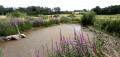 Fouron-le-Comte und das Naturschutzgebiet Altenbroek von Gravenvoeren aus Fouron-le-Comte et la réserve de l'Altenbroek depuis Gravenvoeren
