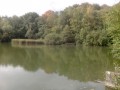 Der Wald von Flambertins und der Teich von Abbecourt La Forêt des Flambertins et l'Etang d'Abbecourt