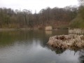 Im Bois de Clamart und im Bois de Meudon Au Bois de Clamart et au Bois de Meudon
