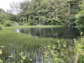 Das Kolvenderbachtal ab Medendorf La vallée de la Kolvenderbach à partir Medendorf