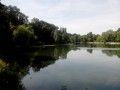 Der Wald von Fausses-Reposes und die Teiche von Ville-d'Avray La Forêt de Fausses-Reposes et les Etangs de Ville-d'Avray