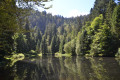 La Bresse par le Lac des Corbeaux et l'Étang de Sèchemer La Bresse par le Lac des Corbeaux et l'Étang de Sèchemer