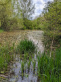 Runde um den Fluss Drize und über die versteckten Wege von Troinex Boucle autour de la Drize et par les chemins cachés de Troinex