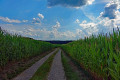 Weinberg-Rednitztal Weinberg-Rednitztal