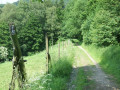 Wupperpfade zum Rüdenstein Wupperpfade zum Rüdenstein