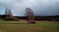 Kleine Rundwanderung in der Plaine de Versailles Petite boucle dans la Plaine de Versailles