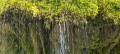 Wutachschlucht und Lotenbachklamm Dans les gorges de la Wutach et Lotenbach