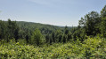Campingroute Eisenach Campingroute Eisenach forest walk