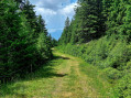 Boucle en forêt autour de Prapoutel