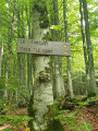 Le Mont Forchat Le Mont Forchat