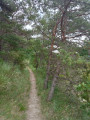 Le Taillefer depuis l'Escoulin