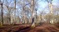 L'Etang Neuf, le Haut Beaussart und Bois des Longues Mares L'Etang Neuf, le Haut Beaussart et le Bois des Longues Mares