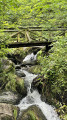 Panoramen rund um Sasbachwalden Panoramas autour de Sasbachwalden