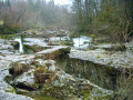 Lapiaz, cascade, résurgence et canyons autour d'Artemare Lapiaz, cascade, résurgence et canyons autour d'Artemare