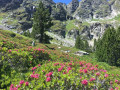 Refuge des Bésines - L'Hospitalet près l'Andorre