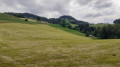 Rüeggisberg - Guggisberg par l'Alpenpanorama Weg Rüeggisberg - Guggisberg par l'Alpenpanorama Weg