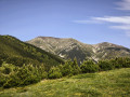 Les Queroses – Coll de Bise – La Parcigoule Les Queroses - Coll de Bise - La Parcigoule