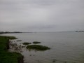 Havre de Regnéville Havre de Regnéville