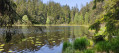 Runde Plättig zum Herrenwieser See über Badenerhöhe Boucle Plättig au Herrenwieser See par Badenerhöhe