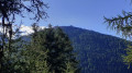 Saint-Luc - Hotel Weisshorn Saint-Luc - Hotel Weisshorn