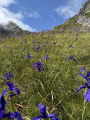 Picq de Burcq und Col de Pau, vorbei am Col du Saoubathou Picq de Burcq et Col de Pau en passant par le Col du Saoubathou