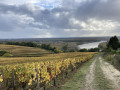 Rundweg Haut-Langoiran Boucle du Haut-Langoiran