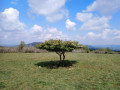 Le Mont Rignat et les sources de la Reyssouze Le Mont Rignat et les sources de la Reyssouze