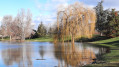 Sur les rives de l'Ill, de la Thur et de la Vieille Thur Sur les rives de l'Ill, de la Thur et de la Vieille Thur