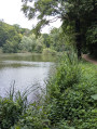 Fontaines, étang, croix et abbaye à Bouxières-aux-Dames