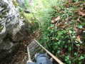 La Combe aux Mammouths La Combe aux Mammouths