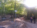 Waldspaziergang am Col de la Luère Balade en forêt au Col de la Luère