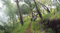 la descente dans la forêt la descente dans la forêt