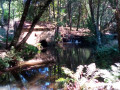 Le long du Rio Uima Le long du Rio Uima
