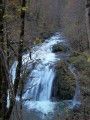 Source de la Loue par la variante du GR® 595 Source de la Loue par la variante du GR® 595