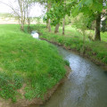 Autour de Moncel-sur-Seille