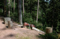 La Montagne des Fourmis