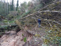 Die tanzenden Felsen Les Roches qui dansent