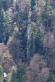 Rundtour am Lac des Corbeaux - La Bresse Un tour au Lac des Corbeaux