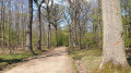Der Wald von Verrières-le-Buisson La Forêt de Verrières-le-Buisson