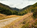 Der Hohneck über das Wormsa-Tal Le Hohneck par la vallée de la Wormsa