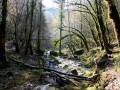 Les cascades de la Tuffière et du Raffenot Les cascades de la Tuffière et du Raffenot