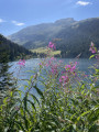 Der Feensee Le Lac des Fées