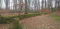 Langmauer - mur romain Langmauer - mur romain
