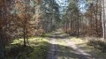 En forêt oubliée de Villette En forêt oubliée de Villette