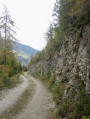 In den Wäldern von Thal (Osttirol) Dans les forêts de Thal (Tyrol oriental)