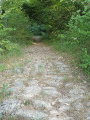 Die Crêtes de Saint-Lattier Les Crêtes de Saint-Lattier